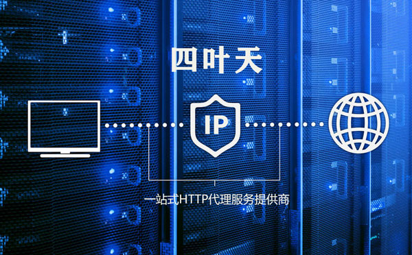 【西藏代理IP】代理IP的主要用途和使用注意事项